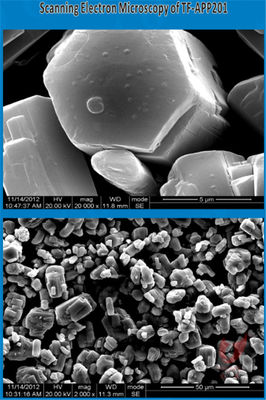 Halogen Free Phase II Ammonium Polyphosphate Fire Retardant
