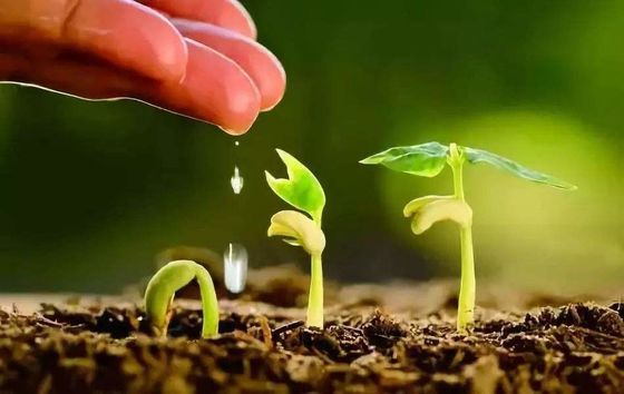 Water Solube Ammonium Polyphosphate Flame Retardant Food Grade For Fertilizer